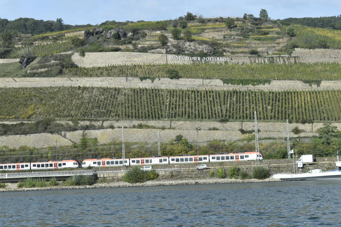 Rüdesheim vignoble